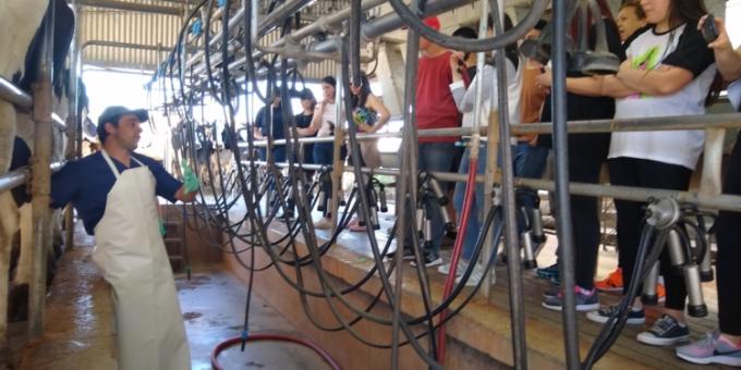 Productores avecinan una crisis de la cadena láctea y piden medidas para no tener que tirar leche