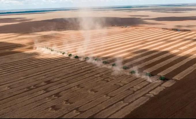 Récord histórico: Brasil exportó más de 16 millones de toneladas de soja en un mes