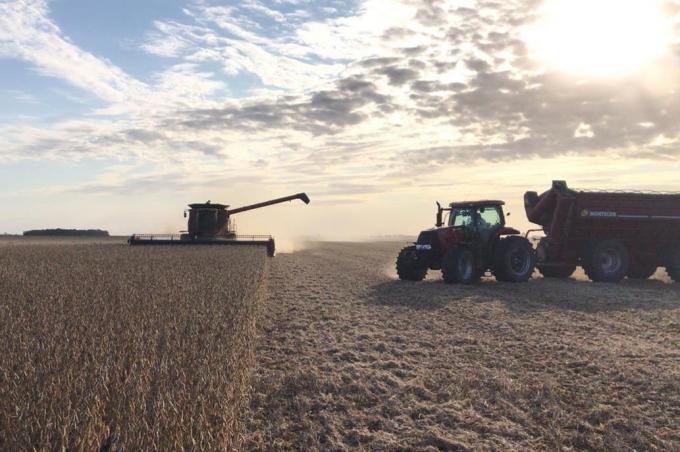 Sin retenciones ni brecha cambiaria, el productor cobraría un 166% más por camión de soja