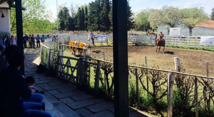 Un funcionario de Entre Ríos calificó de "golpistas" a productores y pidió expropiar el predio de una rural