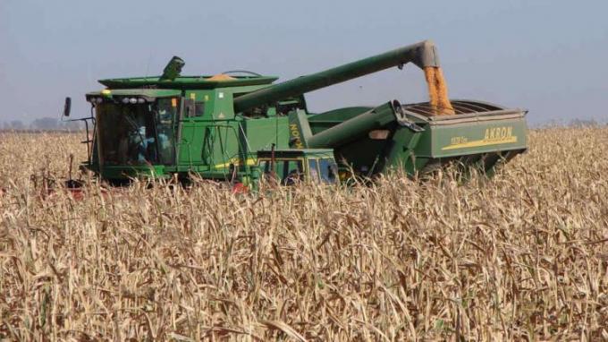 Encuesta: 30% de los productores dice que venderá 80% de su cosecha antes de julio