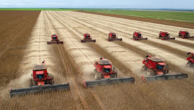 Imparable: Brasil estima una producción de soja y maíz superior a 250 millones de toneladas