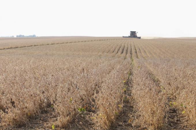 En la presente campaña sojera la zona núcleo pampeana argentina se “corrió” cien kilómetros hacia el norte