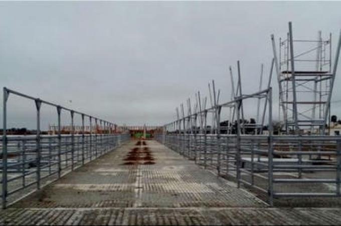 La mudanza del Mercado de Liniers. Comenzaron a colocar los corrales en el nuevo predio de Cañuelas.