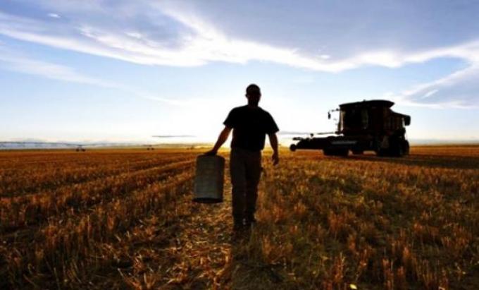 Segmentación al cuadrado: Dos iniciativas piden distinguir al pequeño productor del resto
