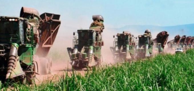 El ingenio Ledesma proyecta moler más de 3 mill/tn de caña de azúcar