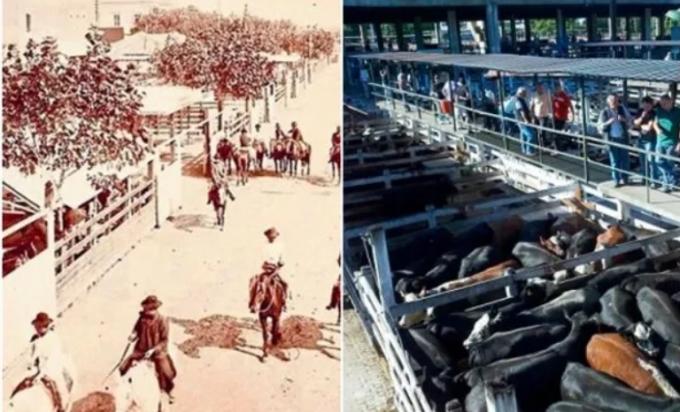 Peleas y chistes: la cultura detrás del mercado de Liniers en la previa del traslado a Cañuelas