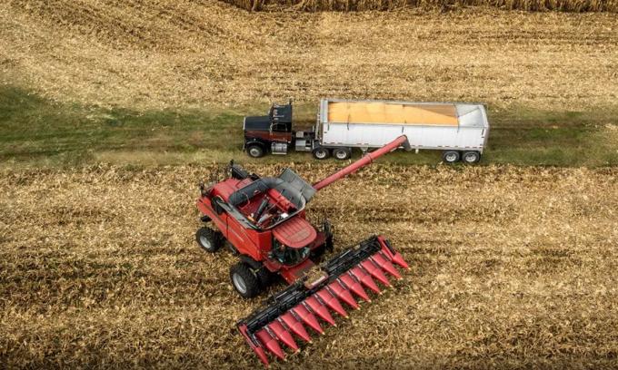 Vicentin: los argumentos que preocupan a los especialistas del negocio del agro
