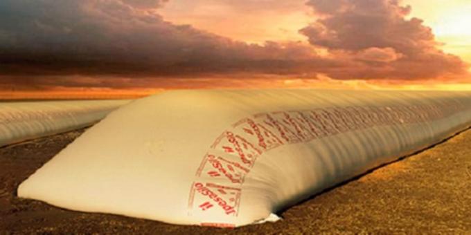 ¿Se detuvo la venta de soja? La mitad de la cosecha todavía está en manos de los productores