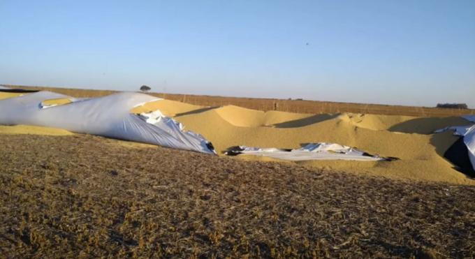 Con nuevos ataques, ya asciende a 30 la cantidad de silobolsas rotos en el país.