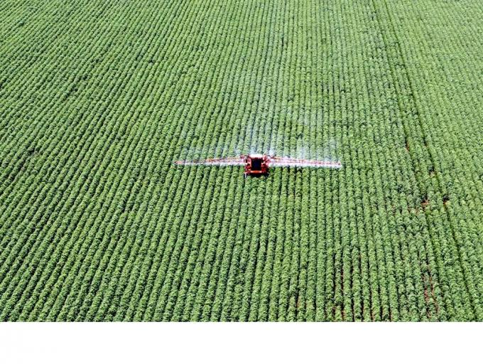 Dólar. En la industria de agroquímicos alertan por una posible falta de productos.