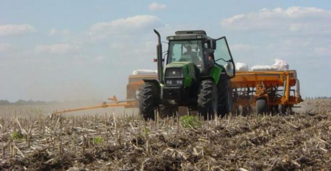 El 16% del trigo sembrado mantiene una condición de regular a mala