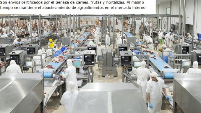 En el primer semestre crecieron las exportaciones de agroalimentos