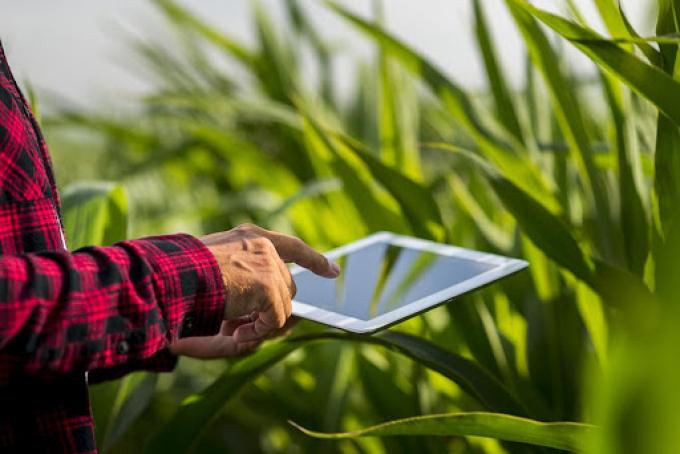 Tecnologías De La Información En El Agro: ¿Hacia Dónde Vamos?