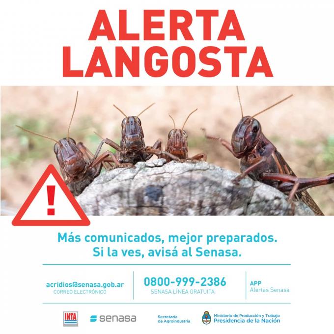 Entre Ríos: se lograron realizar los tratamientos programados para frenar el avance de la manga de langostas