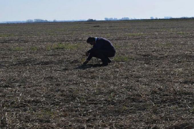 Análisis. Sin adjetivos, la agricultura mejora constantemente.