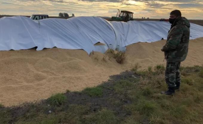 Con la rotura de 125 roturas de silobolsas se perdió el equivalente al alimento para 673.000 chicos