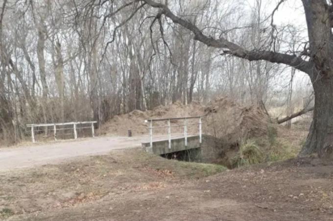 Coronavirus. Proponen un "sistema ágil" para que las "aduanas internas" no afecten al campo.