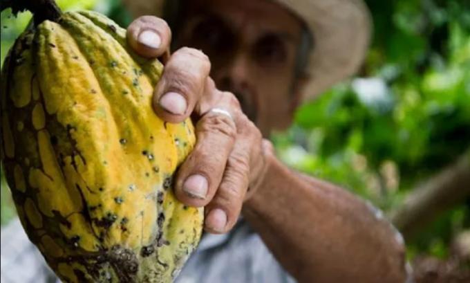 Una fintech creó un modelo alternativo de financiamiento para pequeños productores