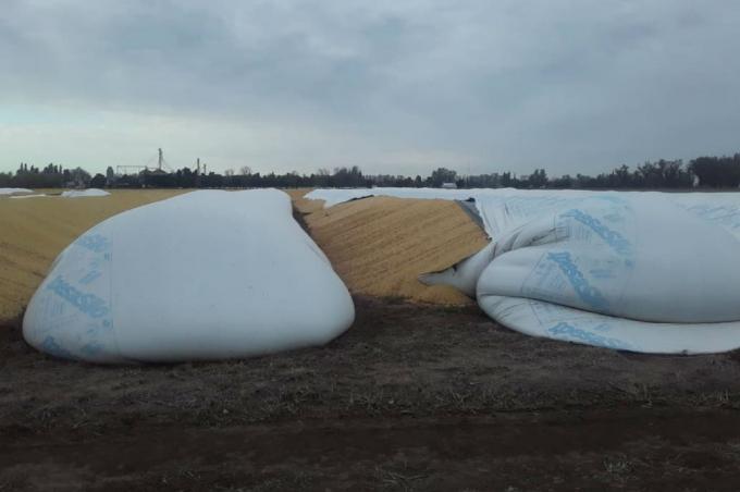 Silobolsas. No ceden los ataques y crecieron a 151 las roturas en el país