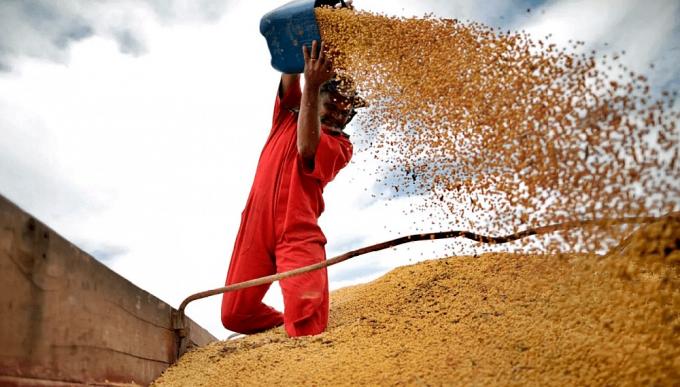 Coninagro advierte que podría haber demoras en liquidaciones del agro del ciclo 2020/21 tras la medida del Central