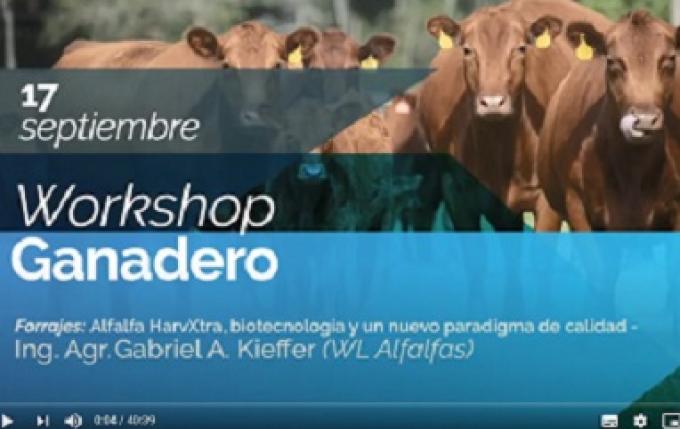 Workshop Ganadero 2020 - Charla de Forrajes, auspiciada por WL Alfalfas