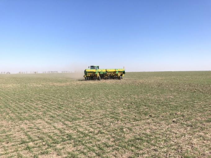 Alerta. Por la falta de lluvias vuelve a complicarse la campaña agrícola.