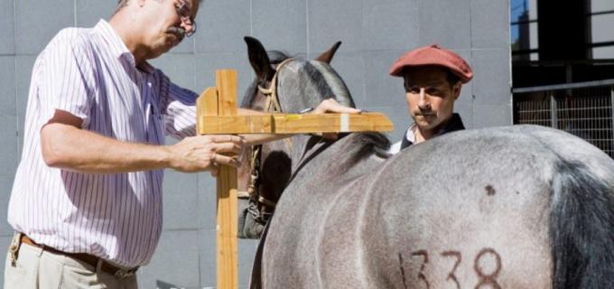 El 1 de octubre vence el plazo para reacreditarse en programas de sanidad animal