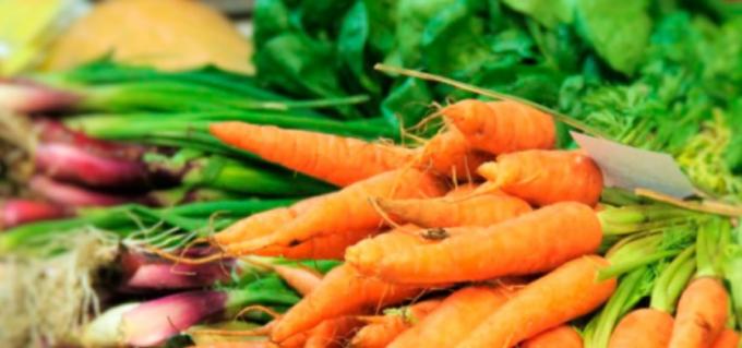 Agricultura incentiva la producción de alimentos orgánicos
