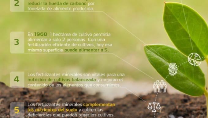 La mitad de la producción mundial de alimentos se debe a los fertilizantes