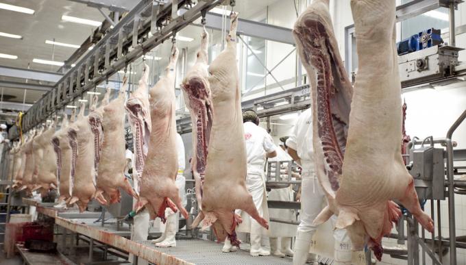 Fuerte aumento del valor del cerdo en Estados Unidos