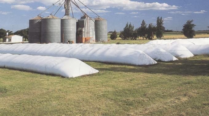 Impuesto a la riqueza: tres objeciones desde el sector agropecuario.