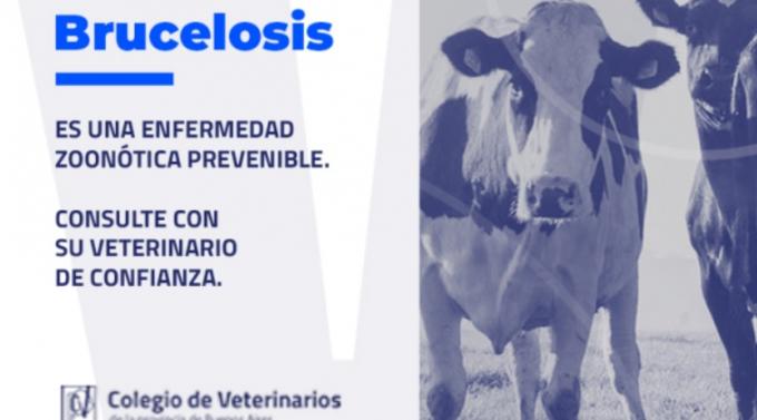 Brucelosis: Los planes de control y erradicación tienen un importante beneficio