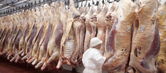Exportaciones de carne vacuna: Todo parece encaminado para que en 2020 se vuelvan a batir los récords