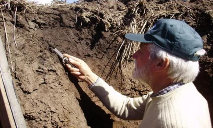 La microbiología del suelo se presenta como un actor principal que revoluciona la producción agropecuaria