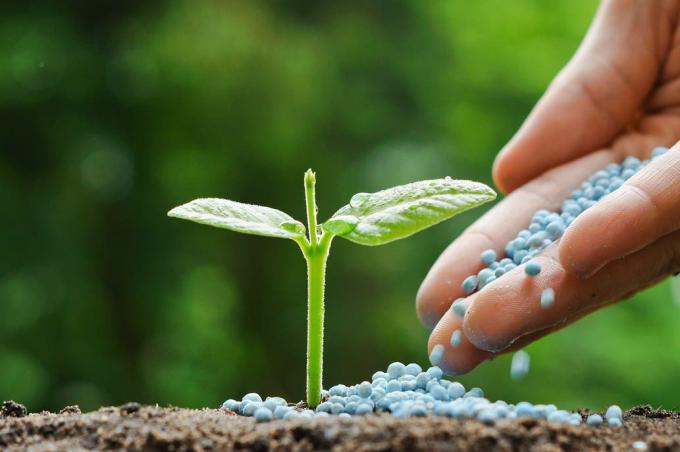 La revolución que el campo debe liderar
