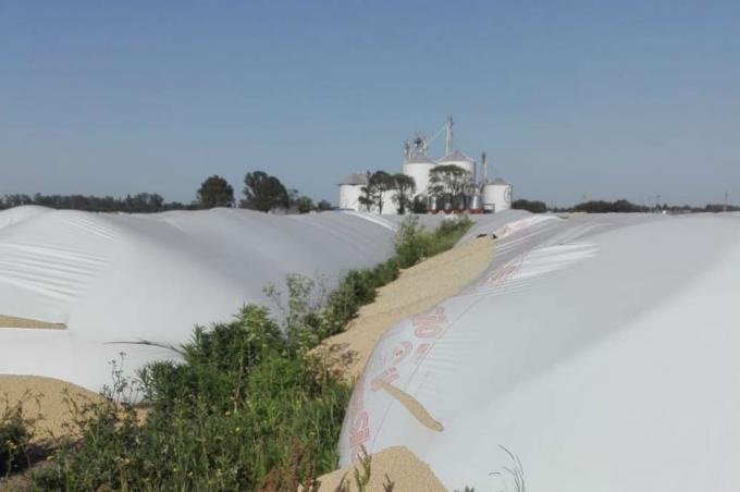Silobolsas: tras otro ataque, ya destruyeron 169 en lo que va del año