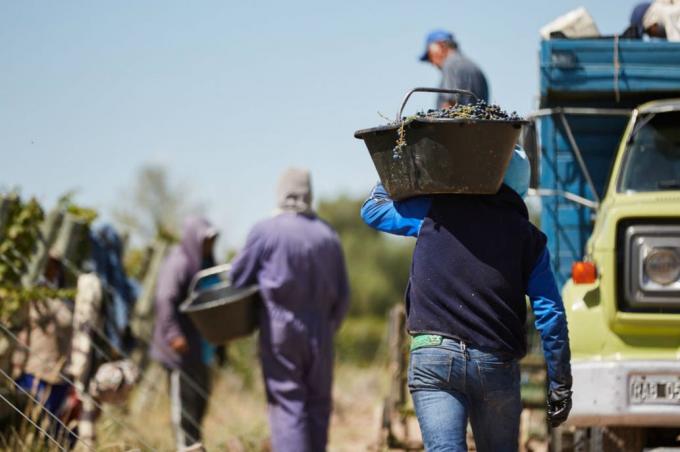 Mendoza: buscan 10.000 trabajadores pero solo se anotó la mitad
