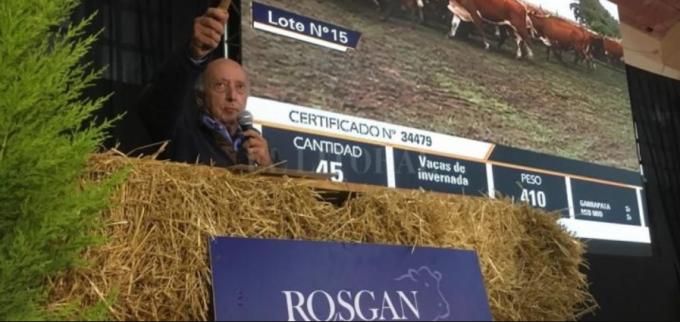 Alzas importantes en la invernada en el último remate del Rosgan