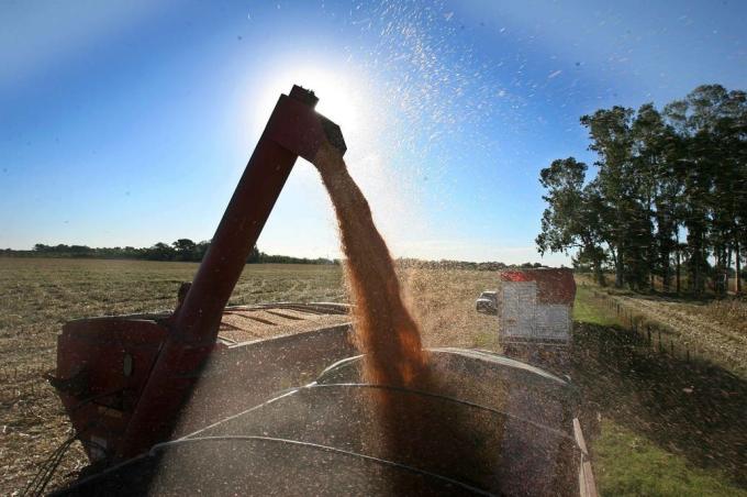 Más de US$11.000 millones: estiman que esas divisas llegarán con el campo hasta marzo