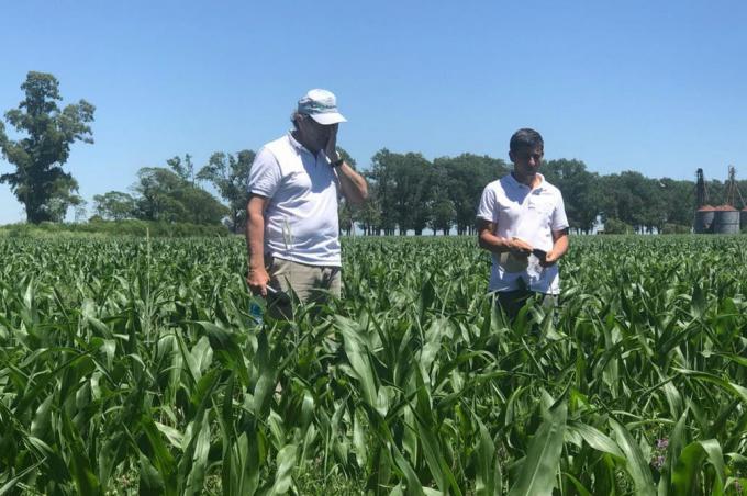Con foco en el ambiente: los que construyen otro piso para la mejora de la producción agrícola