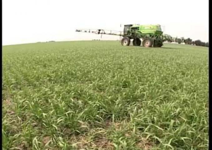 Los precios de los granos alentaron la inversión en fertilizantes