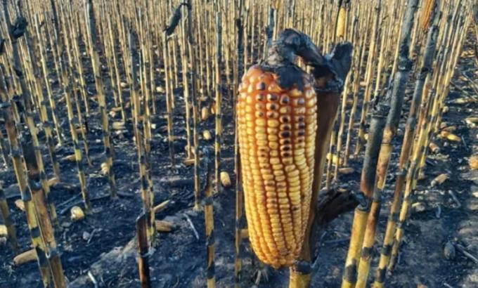 La Comisión de Enlace alerta que el proyecto kirchnerista sobre incendios en campos confunde víctimas con victimarios