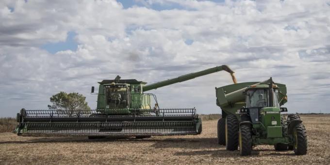 Más de la mitad: tuvo una leve caída lo que se lleva el Estado de una hectárea agrícola