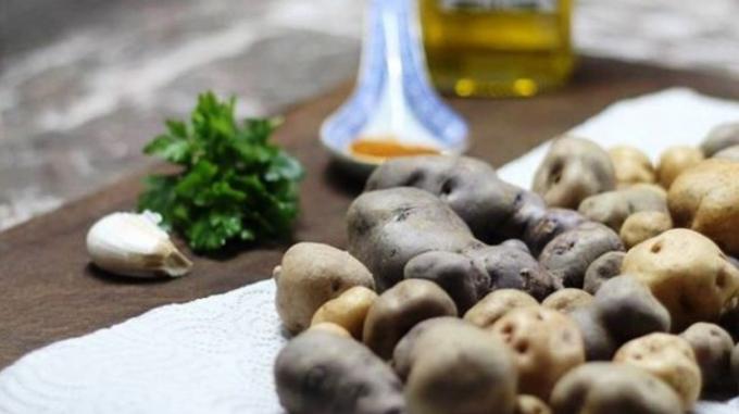 Presentan herramientas para mejorar la comercialización de los  alimentos