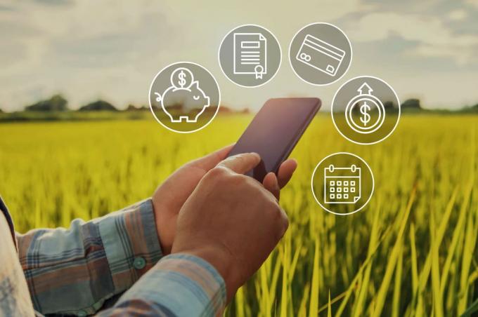 En 2020: los bancos destacan que creció la financiación para el campo