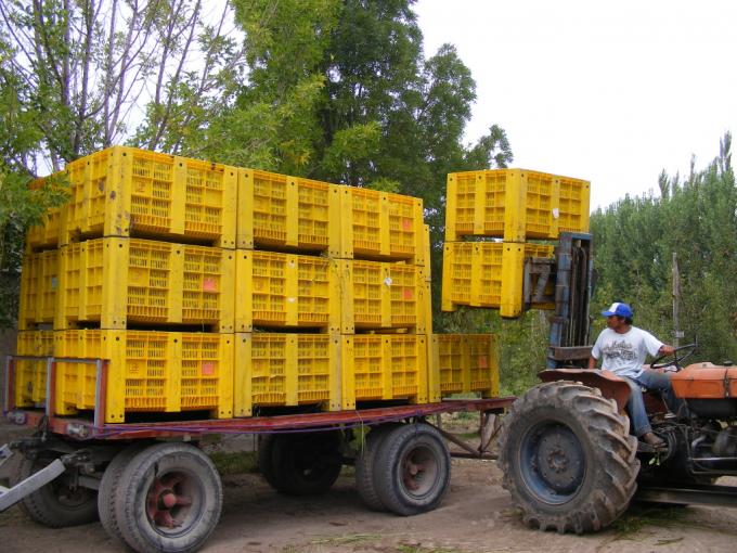 Came alertó por la falta de mano de obra en las economías regionales