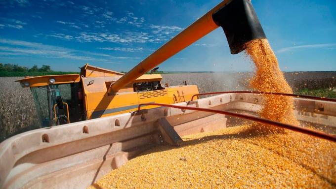 Por el efecto susto productores argentinos vendieron una cifra récord de 1,90 millones de toneladas de maíz 2020/21 en apenas dos semanas