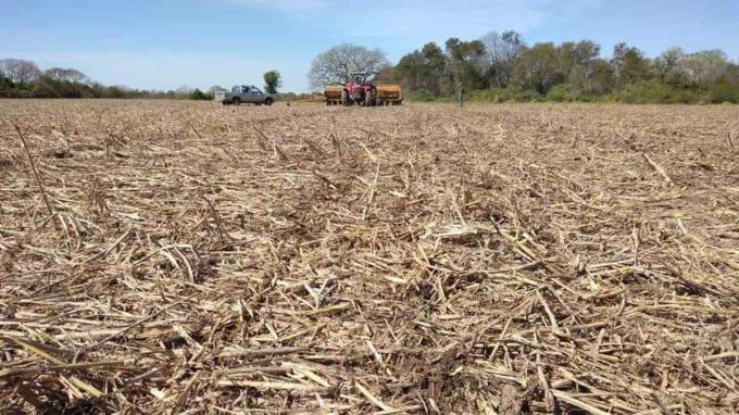 Región Núcleo continúa la faltante de agua 