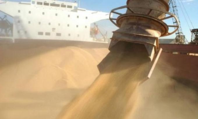 Ya se declaró casi 90% del trigo a exportar